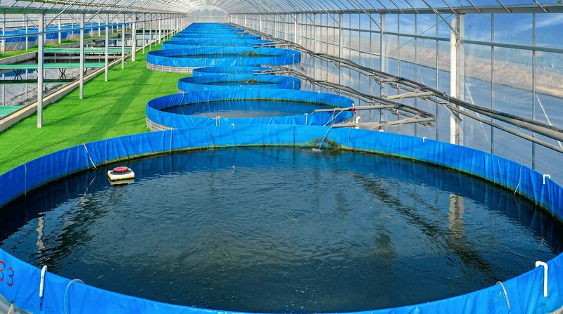 Flexible Tanks for Aquaculture and Fish Farming: Specification and System Design